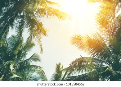 Copy space of silhouette tropical palm tree with sun light on sunset sky and cloud abstract background. Summer vacation and nature travel adventure concept. Vintage tone filter effect color style. - Shutterstock ID 1015584562