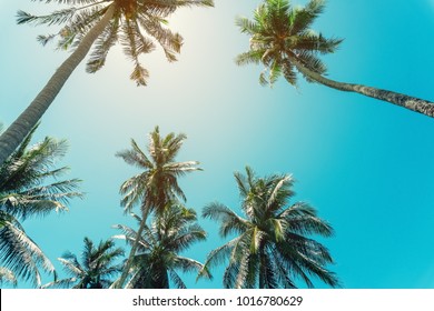 49,019 Sunny California Beach Images, Stock Photos & Vectors | Shutterstock