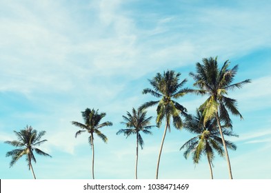Copy space of silhouette tropical palm tree with sun light on sunset sky and cloud abstract background. Summer vacation and nature travel adventure concept. Vintage tone filter effect color style. - Powered by Shutterstock