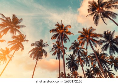 Copie o espaço da silhueta da palmeira tropical com luz do sol no céu por do sol e fundo abstrato da nuvem. Conceito de aventura de férias de verão e viagens pela natureza. Estilo de cor de efeito de filtro de tom vintage.