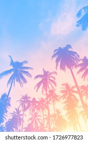 Copie o espaço da silhueta da palmeira tropical com luz do sol no céu por do sol e fundo abstrato da nuvem. Conceito de aventura de férias de verão e viagens pela natureza. Estilo de cor de efeito de filtro de tom pastel.
