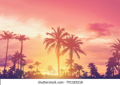 Copy space of silhouette tropical palm tree with sun light on sunset sky and cloud abstract background. Summer vacation and nature travel adventure concept. Vintage tone filter effect color style.