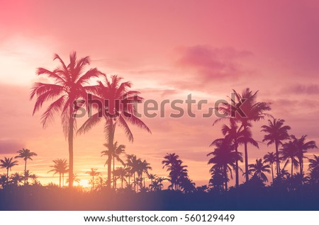 Copy space of silhouette tropical palm tree with sun light on sunset sky and cloud abstract background. Summer vacation and nature travel adventure concept. Vintage tone filter effect color style.   