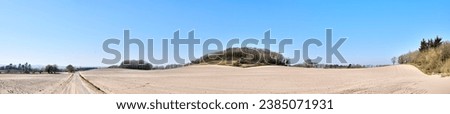 Copy space with view of trees on a sandy and barren farm with clear blue sky background on a sunny day. Panoramic landscape of a dry, arid and uncultivated land on the East Coast of Jutland, Denmark
