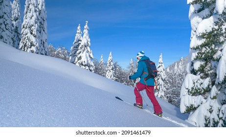 COPY SPACE: Young woman splitboarding in Bohinj treks up a hill covered in fresh powder snow. Active female tourist splitboards up a mountain in the wintry backcountry. Sporty woman ski touring.