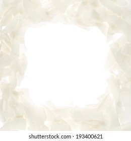Copyspace square frame made of coconut's chips over the white background