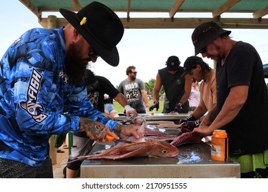 CORAL BAY, WA - MAY 12 2022:Australian People Gutting Fish.Recreational Fishing Is An Important Activity For Many Australians And Contributes Substantially To The Australian Economy.