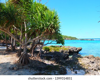 Coral Beach On Efate Island, Vanuatu