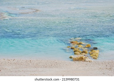 Coral Beaches Namely Marine Organisms That Stock Photo 2139980731