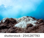 Coral bleaching is occurring due to the continuing high seawater temperatures.
The beautiful and huge corals colonies of Leptastrea purpurea and Table coral (Acropora Solitaryensis)

Hirizohama 2024,