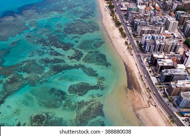 Coral Coast / Ocean / Aerial Landscape From Macei