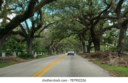 Coral Gables Road Miami Florida