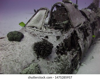 Coral growing on a wrecked airplane