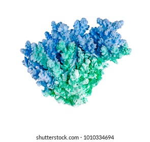 Coral Isolated On White Background