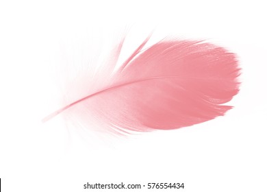 Plume D Ange Photos Et Images De Stock Shutterstock Plume D Ange Photos Et Images De Stock Shutterstock