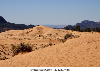 Coral Pink Sand Dunes In Bright Sun