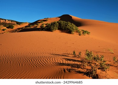 Coral Pink Sand Dunes State Park - it features uniquely pink-hued sand dunes located beside red sandstone cliffs (between Mount Carmel Junction and Kanab, southwestern Utah, United States) Arkivfotografi