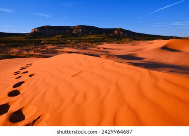 Coral Pink Sand Dunes State Park - it features uniquely pink-hued sand dunes located beside red sandstone cliffs (between Mount Carmel Junction and Kanab, southwestern Utah, United States) Stock-foto