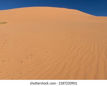 Coral Pink Sand Dunes Utah