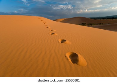 Coral Pink Sand Dunes, Utah