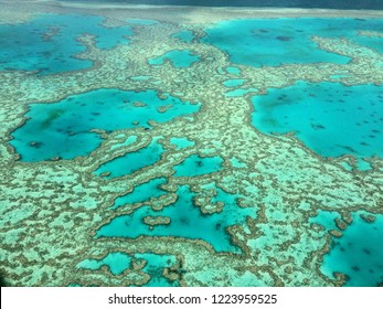 Coral Reef, Australia 