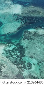 Coral Reef Of The Ocean At Low Tide Top View Zanzibar