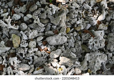 42,887 Piedra coralina Images, Stock Photos & Vectors | Shutterstock