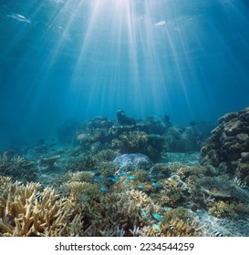 Coral reef and sunlight underwater seascape, Pacific ocean, Oceania - Shutterstock ID 2234544259