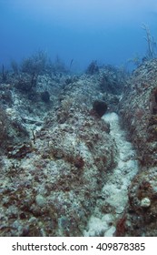 Coral Reef Trench Slowly Dying Without Any Fish Life