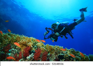 Coral Reef, Tropical Fish And Scuba Diver With A Big Camera