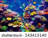 aquarium coral colorful