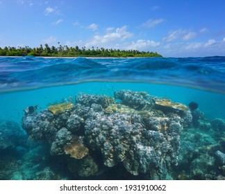 Coral Reef And Tropical Island, Seascape Over And Under Water, Pacific Ocean, Oceania