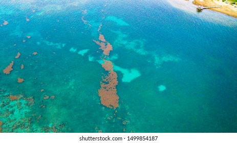Coral Reef Turquoise Ocean in Rotan Honduras Islas de la Bahia - Shutterstock ID 1499854187