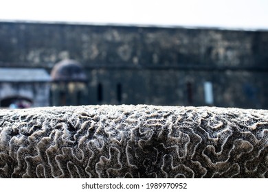 Coral Reef Used In The Fort San Juan De Ulúa To Build The Structures And Walls. Veracruz, México, Nov, 2017