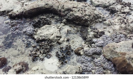 Similar Images Stock Photos Vectors Of Fire Pit Ashes