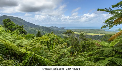 Coral Sea Daintree Rainforest Tropical Queensland