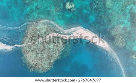 Coral spawning spawn Great Barrier Reef natural ocean reef