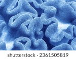 coral texture underwater background reef abstract sea