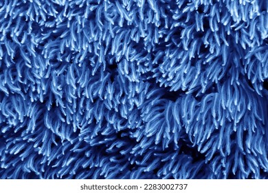 texture de corail sur fond flou - fond d'écran - mer abstraite : photo de stock