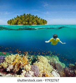 Corals, Diver And Palm Island - Half Underwater Shoot