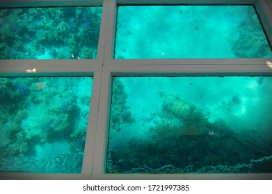 Corals And Sunk Bouy In The Bottom Of The Red Sea Seen Through A Floor Of The Glass Boat. 