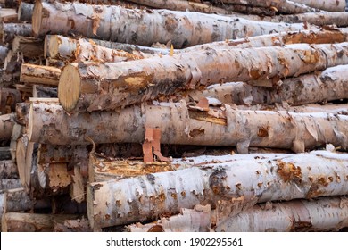 Cord Firewood Hd Stock Images Shutterstock