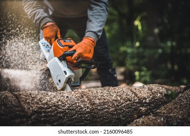 Cordless Chainsaw. Close-up of woodcutter sawing chain saw in motion, sawdust fly to sides. Chainsaw in motion. Hard wood working in forest. Sawdust fly around. Firewood processing. - Shutterstock ID 2160096485