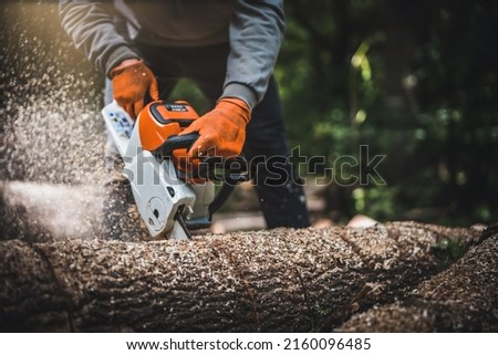Cordless Chainsaw. Close-up of woodcutter sawing chain saw in motion, sawdust fly to sides. Chainsaw in motion. Hard wood working in forest. Sawdust fly around. Firewood processing.