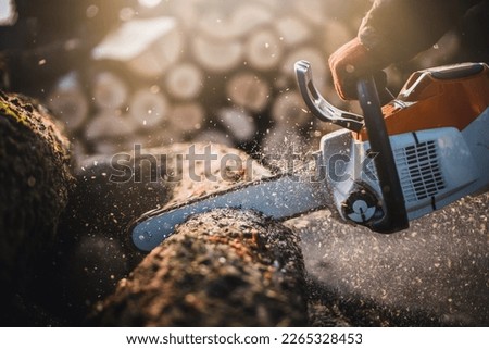 Cordless Chainsaw. Close-up of woodcutter sawing chain saw in motion, sawdust fly to sides. Chainsaw in motion. Hard wood working in forest. Sawdust fly around. Firewood processing.