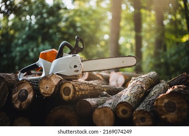 Cordless Chainsaw. Chainsaw on wooden stump or firewood. Firewood processing.