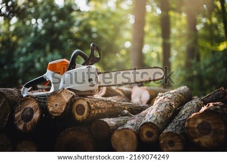 Cordless Chainsaw. Chainsaw on wooden stump or firewood. Firewood processing.