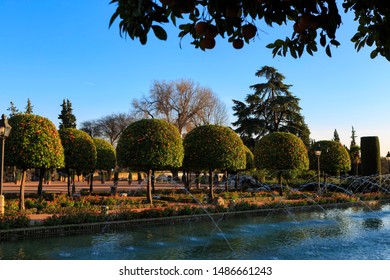 Cordoba,Spain,2,2014;Gardens, Buildings And View Of The Alcazars Of The Catholic Monarchs