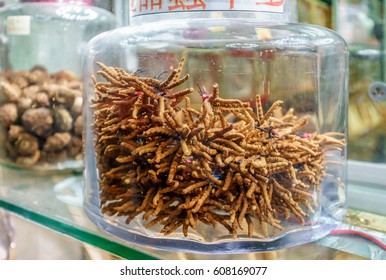 Cordyceps is considered to be medicinal mushroom in classical Asian pharmacologies, such as that of traditional Chinese and Tibetan medicines. Dried cordyceps in glass jar at the shopwindow