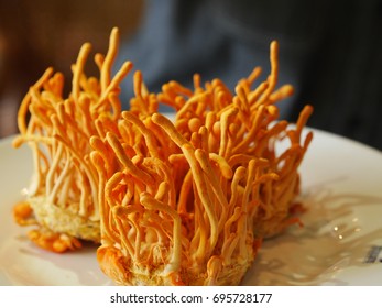 Cordyceps Militaris